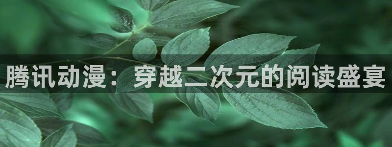 韩国漫画全集免费观看