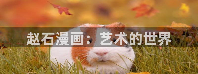看韩国漫画用哪个软件最好免费